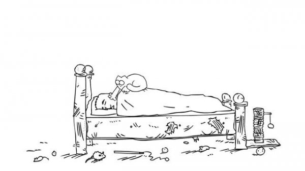 SIMON S CAT ( КОТ СИМОН )