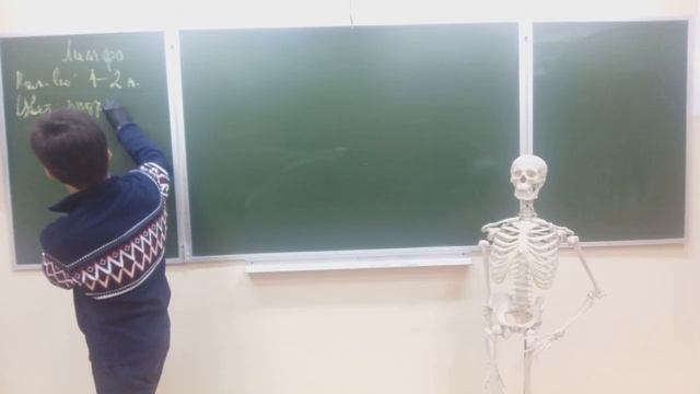 Лимфатическая система.mp4 смотреть онлайн