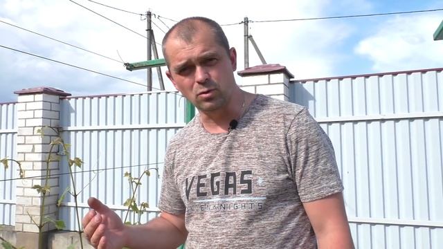 Виноград. Пасынки и усы. Что нужно знать новичкам? смотреть онлайн