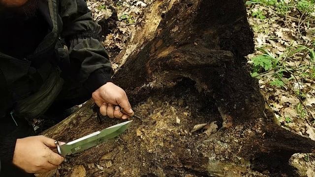 ВЫЖИТЬ В ЛЕСУ НЕВОЗМОЖНО| Найти еду и воду, развести костер, не так просто как кажется смотреть онлайн