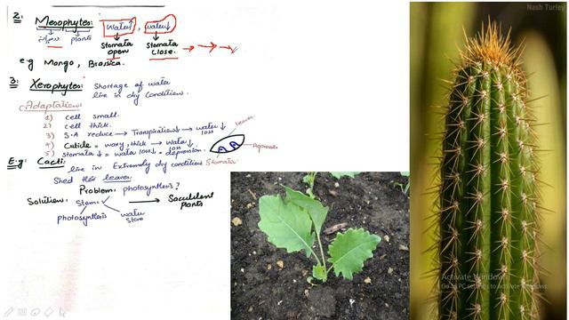 Bio Lecture 02 (2nd Year) смотреть онлайн