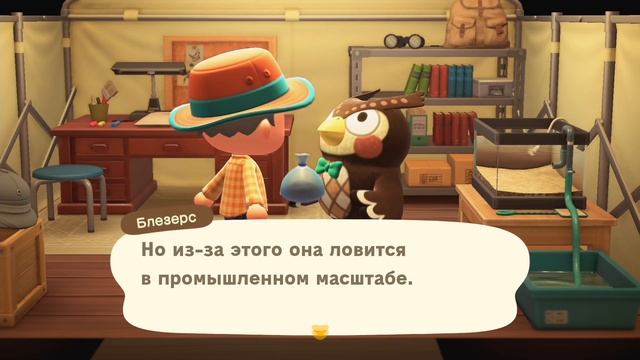 Прохождение Animal Crossing - День 4 - Дух Уиспа смотреть онлайн