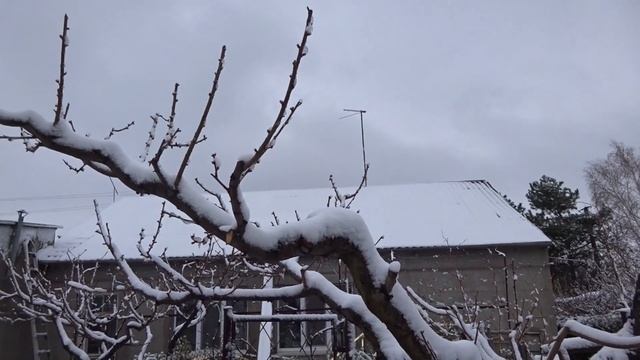 Качели погоды. Снег в Крыму 24 марта 2020 года посёлок Гвардейское. смотреть онлайн