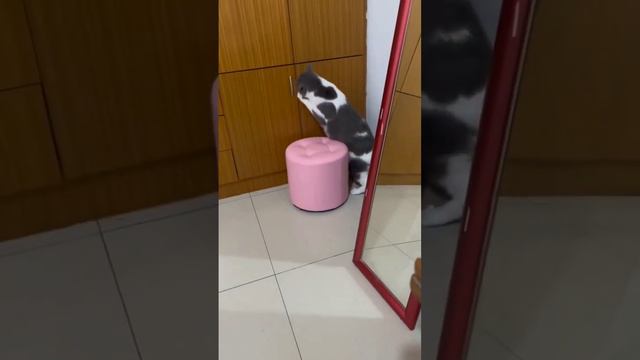 Когда увидел гостей с детьми. ЮМОР ТВ ОК. смотреть онлайн