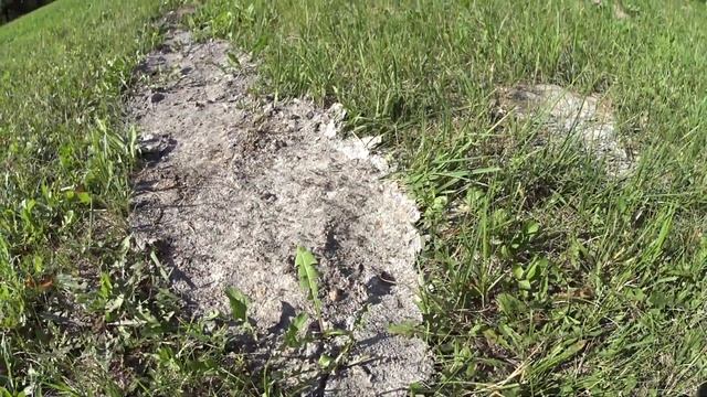 Мастерская на даче, крыша, наглый ёжик. смотреть онлайн