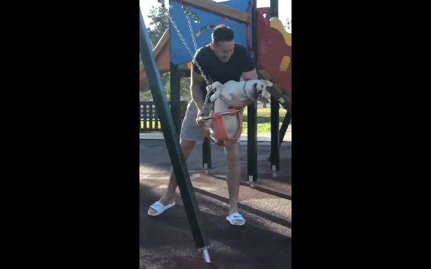 Щенок на качелях смотреть онлайн