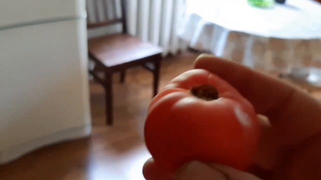 ПОМИДОР. ХРОНИКА ПЕРВОГО ТОМАТА смотреть онлайн