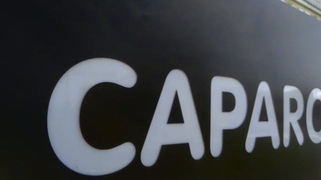 Мойка фасада и витрины | Помыли слона Caparol керхером | Промышленные альпинисты работают на высоте смотреть онлайн