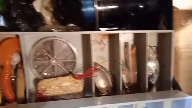 Рыболовный чемоданчик смотреть онлайн