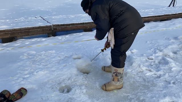Ловим форель вместе с Александром смотреть онлайн