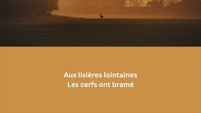 Poésie - Automne Malade - Guillaume APOLLINAIRE - French Poem смотреть онлайн