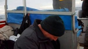 Как меня укусила зубатка ... ))))