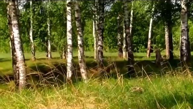 Марийский этнос - R -16. Владимир Окунев - 4. (Ed. Records.) смотреть онлайн