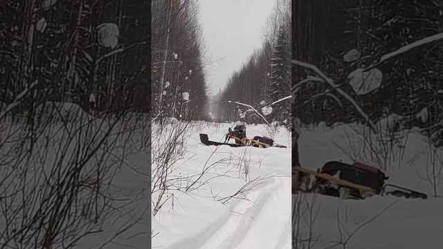 Чинук приколы смотреть онлайн