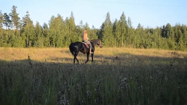 Живи, как умеешь..Мы на кордео в поле смотреть онлайн
