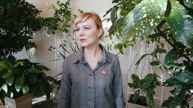 Усадьба "Царицыно". Оранжерея. смотреть онлайн