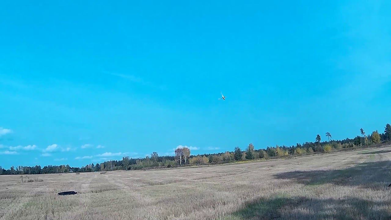 Goblin 570 sport autorotation смотреть онлайн