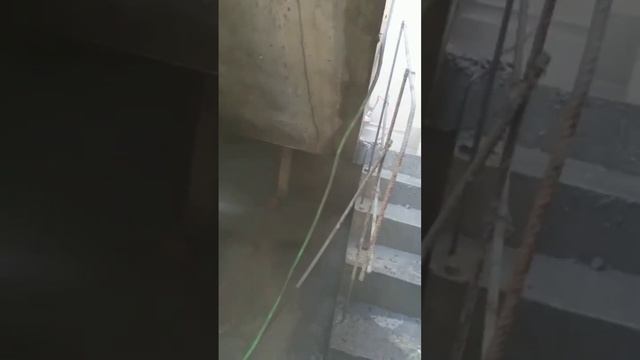 стенорез рулит смотреть онлайн