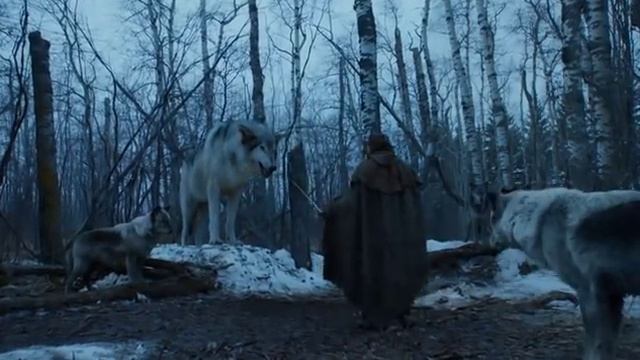 Арья и лютоволк Нимерия)) смотреть онлайн