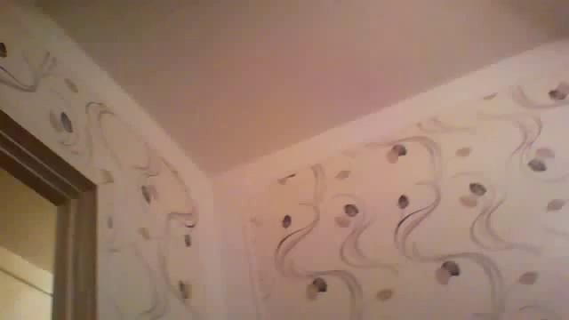 Видео с веб-камеры. Дата: 1 августа 2014 г., 0:30.