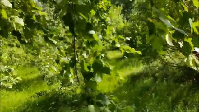 Татьяна Куртукова #- Матушка Земля # Вера и Геннадий Ковтун.. смотреть онлайн