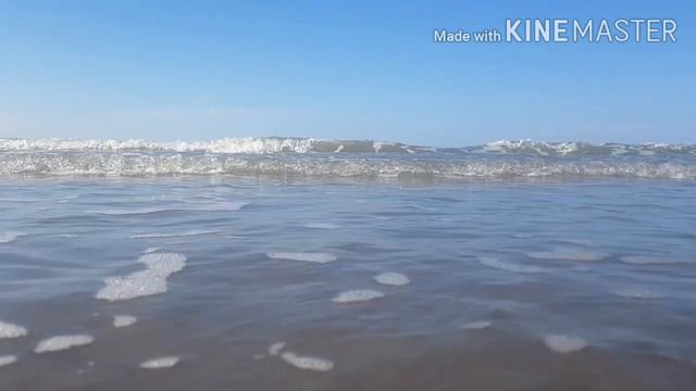 Это было чудесное лето! смотреть онлайн