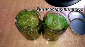 ВИНОГРАДНЫЕ ЛИСТЬЯ НА ЗИМУ - ДЛЯ ДОЛМЫ #толма #виноградныелистья