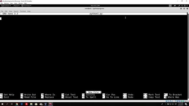 Python Basics Raw Input смотреть онлайн