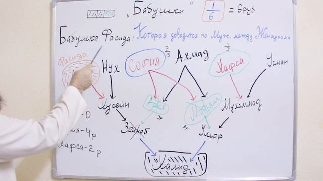 Наследство бабушки в Исламе Фараид (наука о наследстве) Урок-9 Мухаммад Биджиев смотреть онлайн
