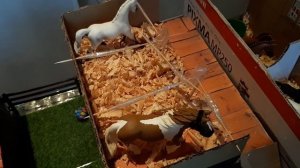 Обзор на мой кск для schleich!