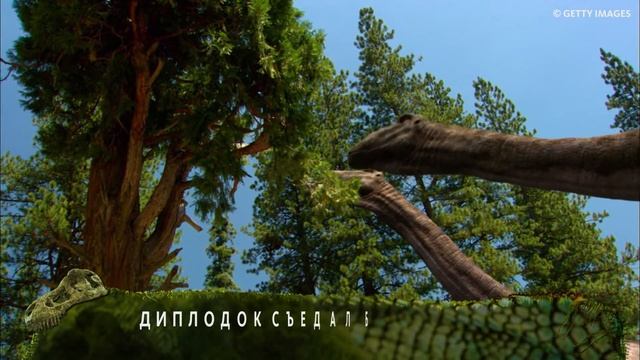 ВСЁ О ДИНОЗАВРАХ: ДИПЛОДОК смотреть онлайн