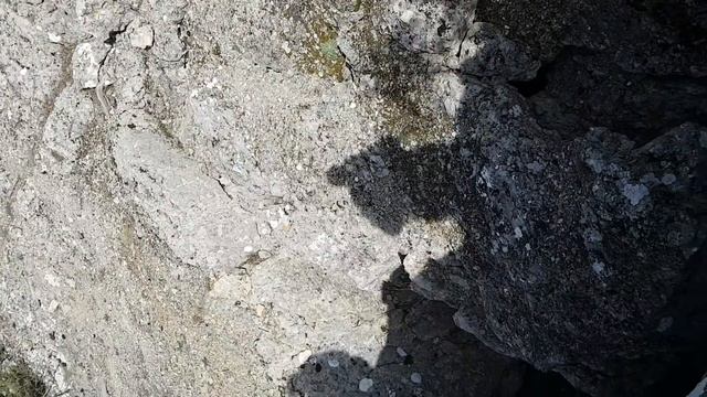 мыс Сарыч 20 03 2022 vert movie смотреть онлайн