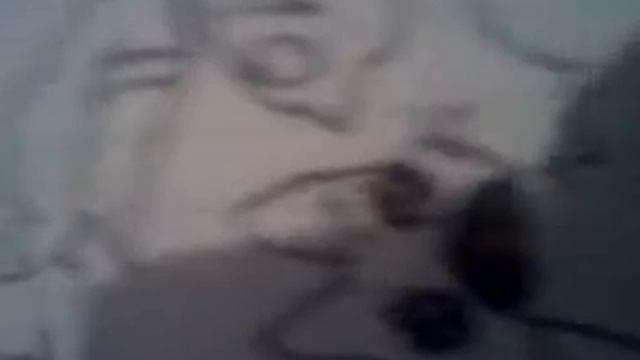 Комары про животных смотреть онлайн