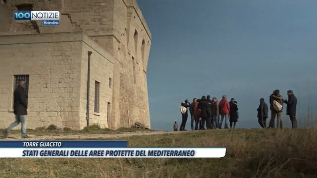 100 Notizie Brindisi del 3 febbraio 2020 смотреть онлайн