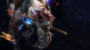kingdoms of amalur: re-reckoning обзор  информации