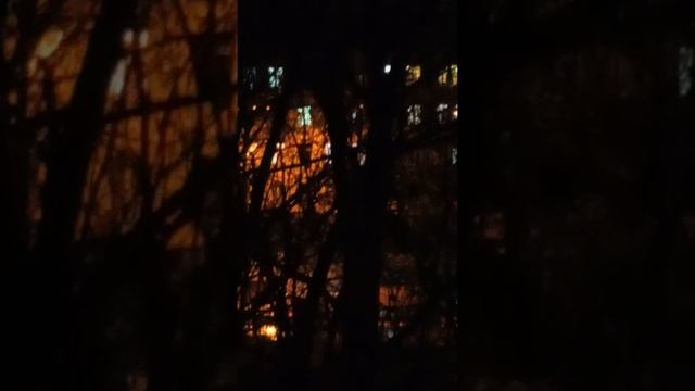 Кадетский корпус Колледжа полиции на Тухачевского 46 смотреть онлайн