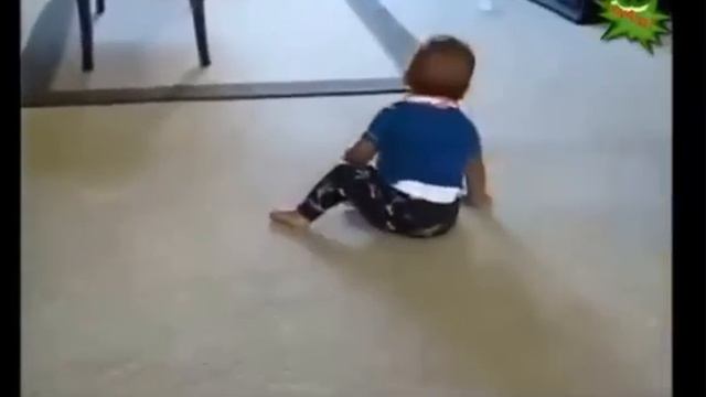 Cмешные животные и маленькие дети, а так же кошки балуются Funny animals and small children, as we смотреть онлайн