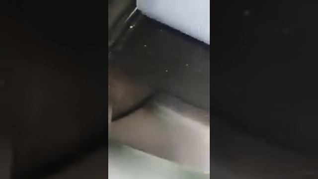 Накладки на ковролин,доп-аксессуары для автомобиля Лада Ларгус,запчасти смотреть онлайн