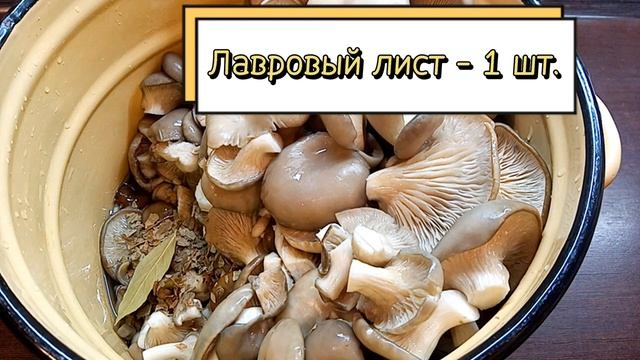 Салаты с Моцареллой