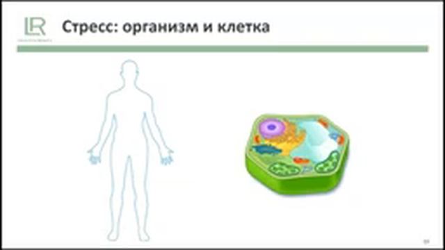 Как управлять стрессом смотреть онлайн