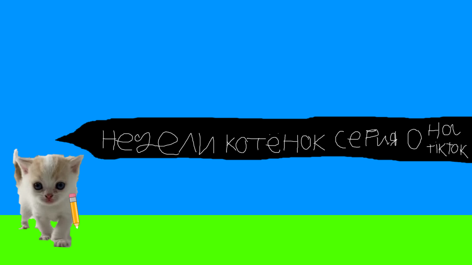 Недели котёнок серия 0 на tiktok смотреть онлайн