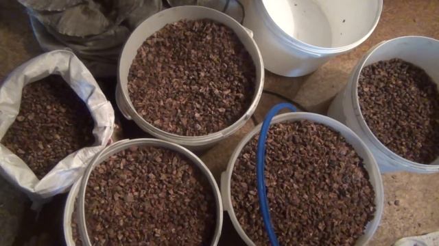 Кедровый орех. Провеиваем от пустых орешков и шелухи. Сеим через сито. смотреть онлайн