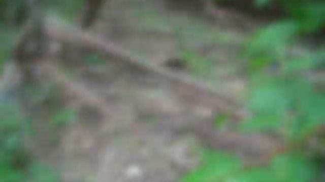 Первая речка в Миассе, Машгородок смотреть онлайн