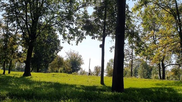 Обзор влогов \ Пиратская Жизнь \ Нина и Вовчик \ Нина снова улетает в мечтах \ ТАКОЕ не показывают смотреть онлайн