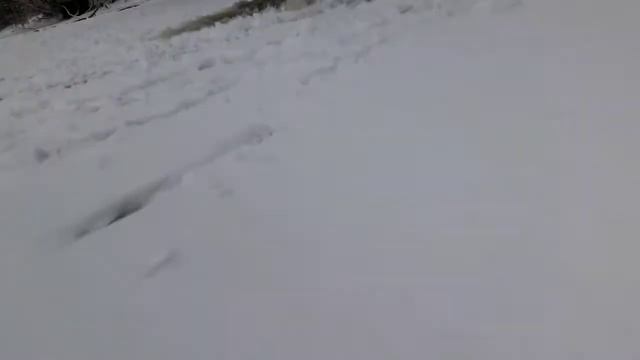 Чуть не ушел под лед) смотреть онлайн