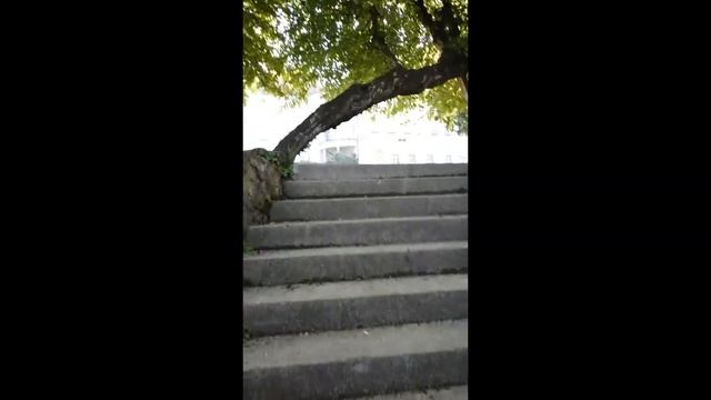 Композиция "Слепой музыкант" смотреть онлайн