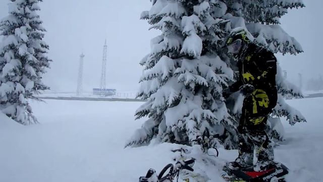 Ергаки 3-8 февраля 2016 г. Пухляк и ныряние в снег смотреть онлайн