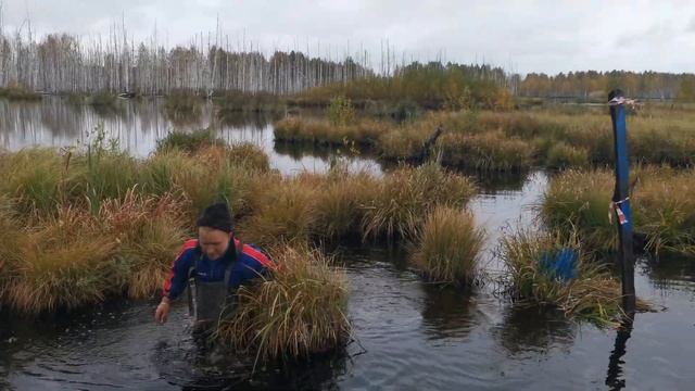 Нарезка трассы трофи спринт "Последний Рубеж" 2020 год Киров. смотреть онлайн