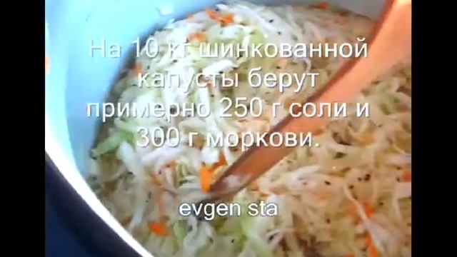 Капуста квашенная и маринованая смотреть онлайн