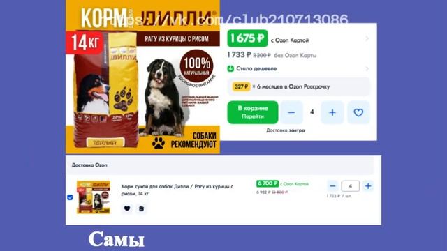 Кто хочет кушать каждый день? Нельзя допустить пустой миски смотреть онлайн